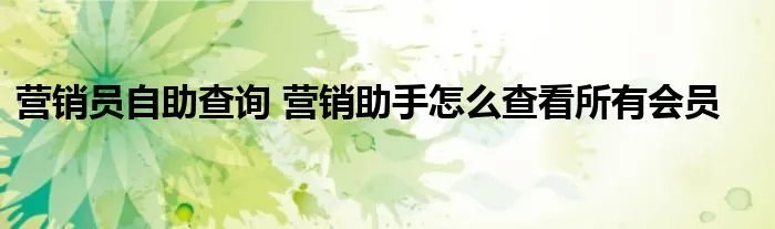 营销员自助查询 营销助手怎么查看所有会员
