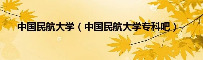 中国民航大学（中国民航大学专科吧）