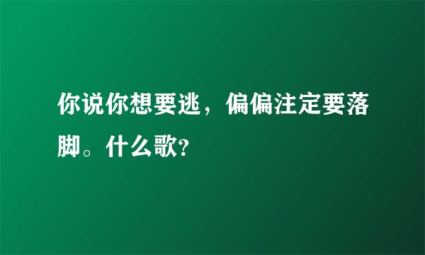 你说你想要逃，偏偏注定要落脚。什么歌？