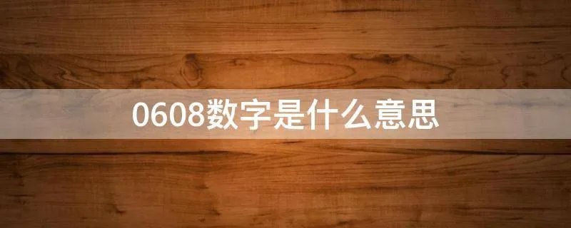 0608数字是什么意思