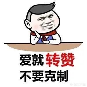 杨幂穿礼服配运动鞋,你觉着这搭配怎么样?
