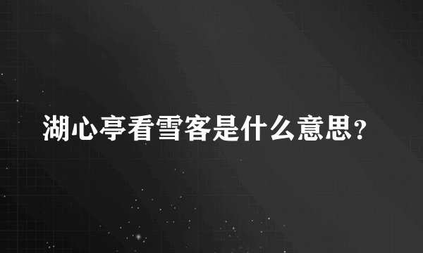 湖心亭看雪客是什么意思？