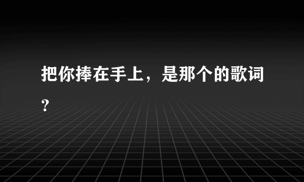 把你捧在手上，是那个的歌词？