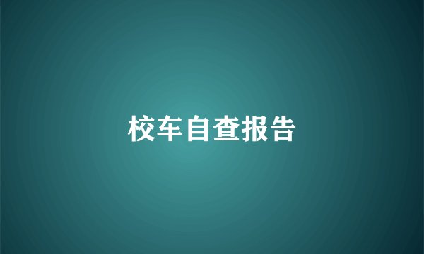 校车自查报告