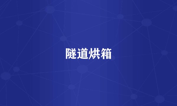 隧道烘箱