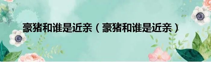 豪猪和谁是近亲（豪猪和谁是近亲）