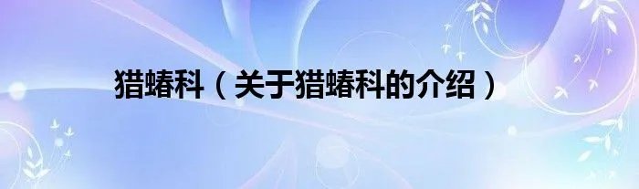 猎蝽科（关于猎蝽科的介绍）