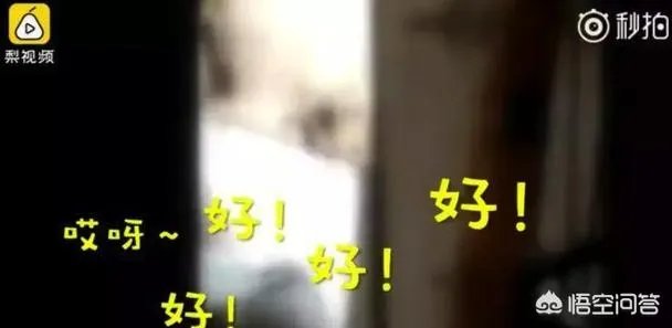 四川泸州一民警机智“撩妹”救下轻生女孩,你怎么看?