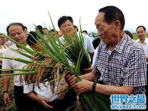 袁隆平身价多少亿?世界首富当之无愧!