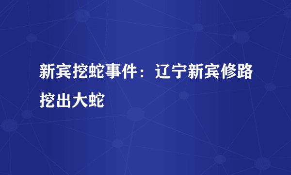 新宾挖蛇事件：辽宁新宾修路挖出大蛇