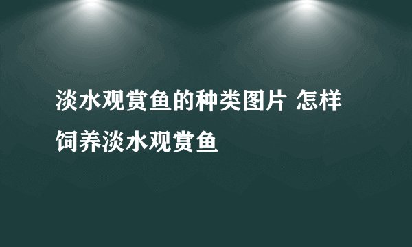 淡水观赏鱼的种类图片 怎样饲养淡水观赏鱼
