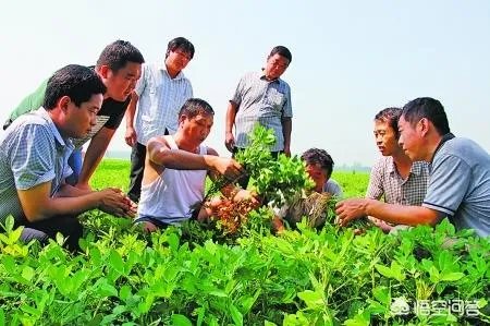 农业技术员前途如何？急？