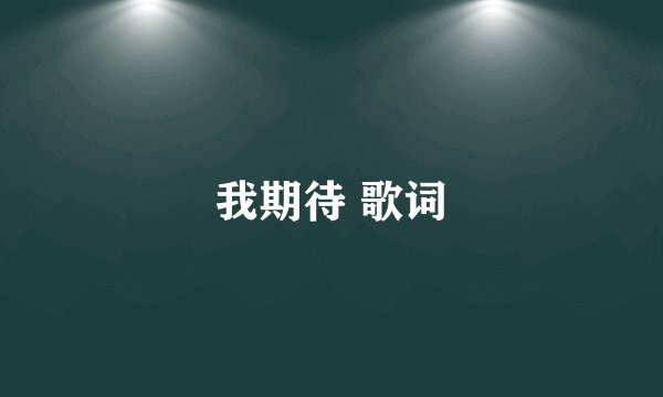我期待 歌词