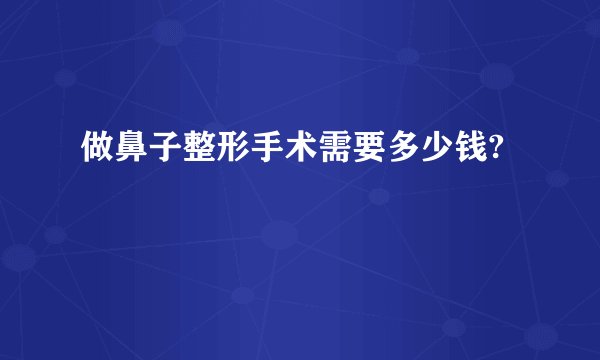 做鼻子整形手术需要多少钱?