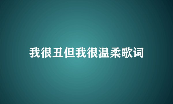 我很丑但我很温柔歌词