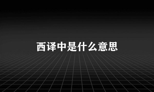 西译中是什么意思