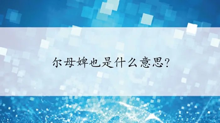 尔母婢也是什么意思？