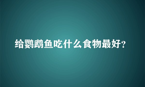 给鹦鹉鱼吃什么食物最好？