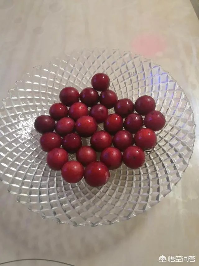 红叶李果实能吃吗?