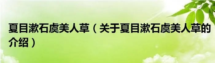 夏目漱石虞美人草（关于夏目漱石虞美人草的介绍）