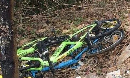 为什么成都共享单车会被集中烧毁?