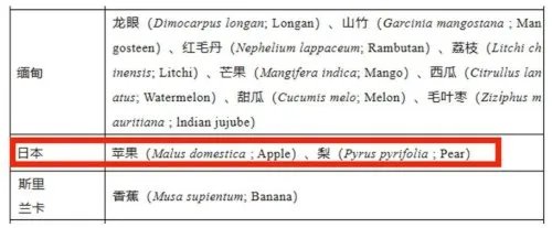 海关回应日本进口蜜瓜138元一瓣:没有这种进口