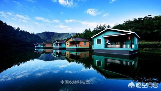 福建省漳平是哪个市?