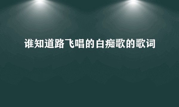 谁知道路飞唱的白痴歌的歌词