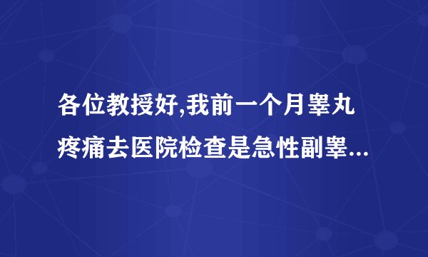 各位教授好,我前一个月睾丸疼痛去医院检查是急性副睾炎,我服用了2个礼拜的(力贝尔)乳酸司帕沙星片和打..