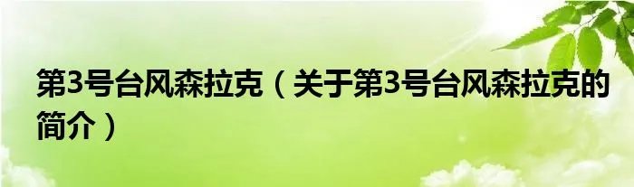 第3号台风森拉克（关于第3号台风森拉克的简介）