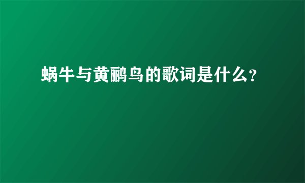 蜗牛与黄鹂鸟的歌词是什么？