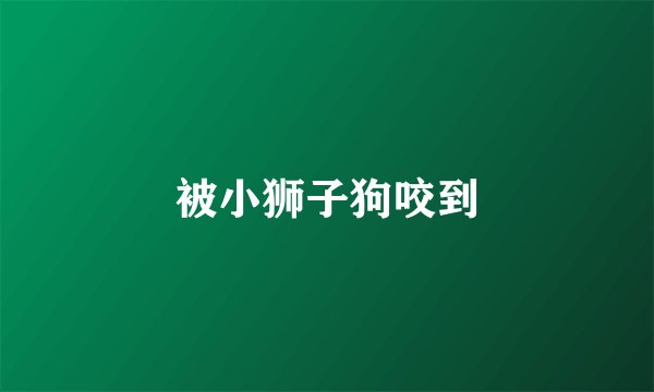 被小狮子狗咬到