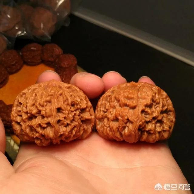 南疆石狮子头为什么那么贵,还那么受欢迎?
