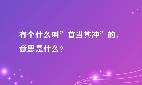 有个什么叫”首当其冲”的，意思是什么？
