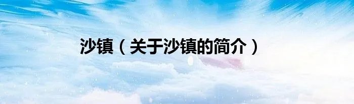沙镇（关于沙镇的简介）