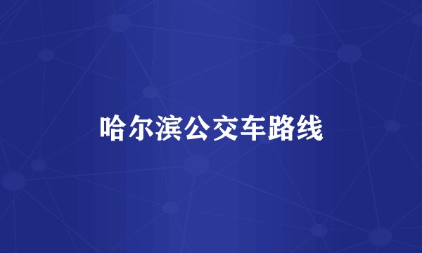 哈尔滨公交车路线