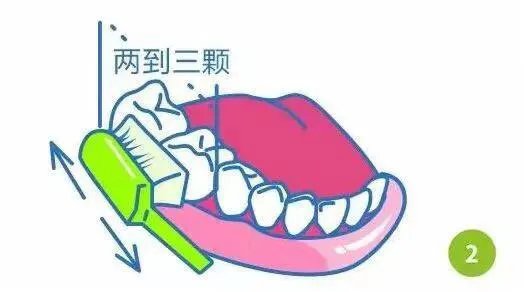 bass刷牙法