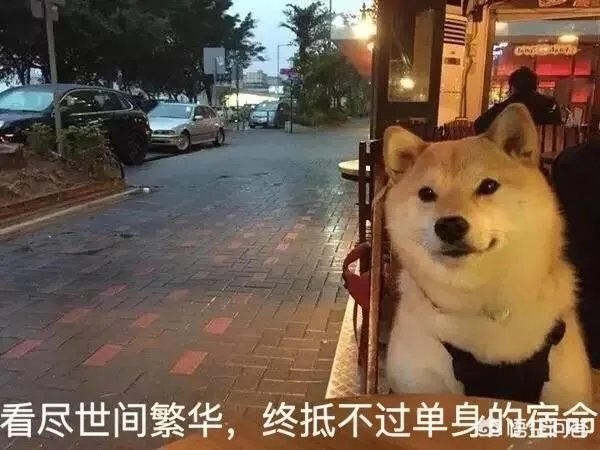 四川泸州一民警机智“撩妹”救下轻生女孩,你怎么看?