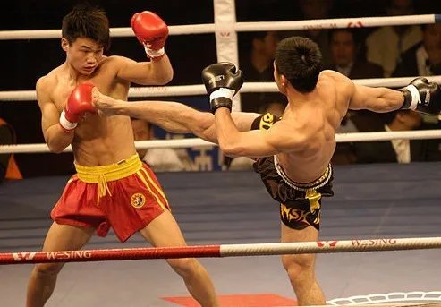 2011中国武术散打功夫王争霸赛的焦点