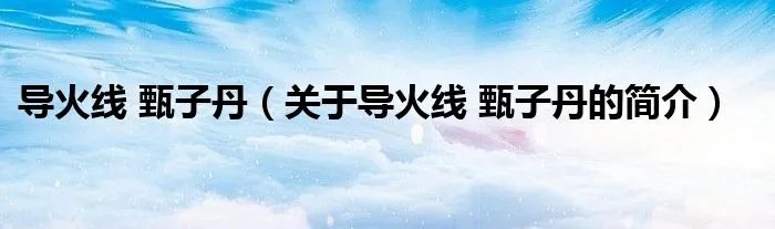导火线 甄子丹(关于导火线 甄子丹的简介)