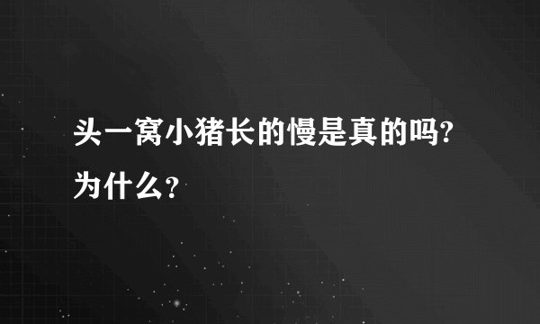 头一窝小猪长的慢是真的吗?为什么？