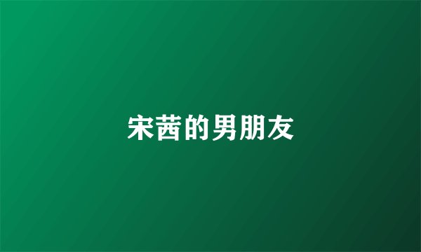 宋茜的男朋友