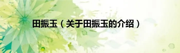 田振玉（关于田振玉的介绍）