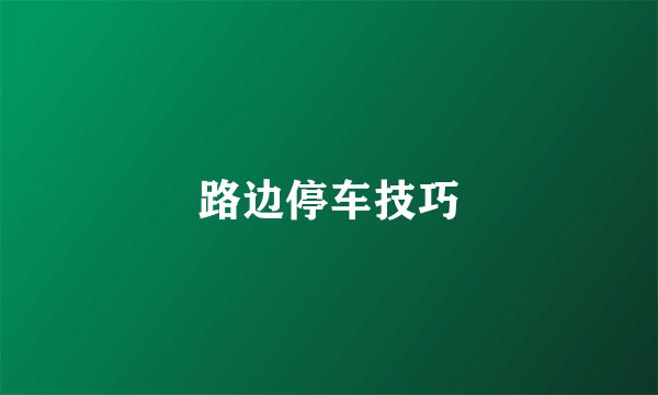 路边停车技巧