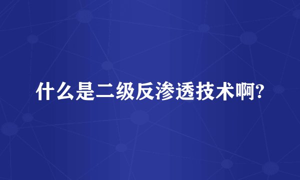 什么是二级反渗透技术啊?
