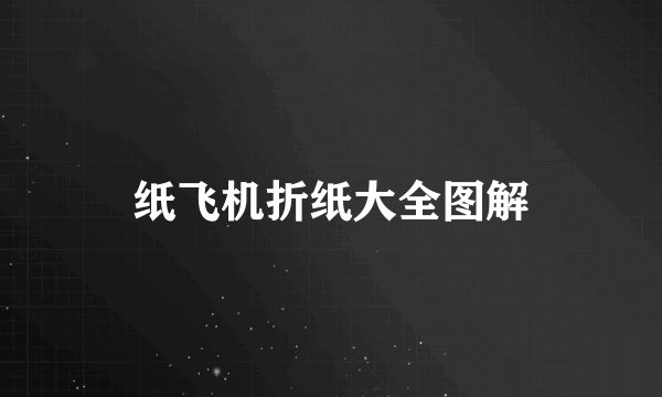 纸飞机折纸大全图解