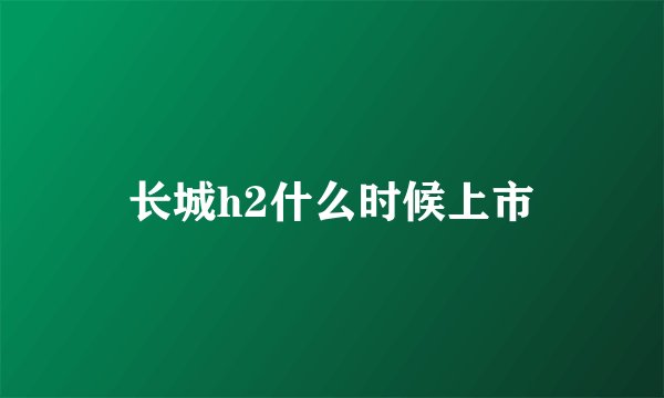 长城h2什么时候上市