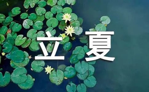 立夏的谚语