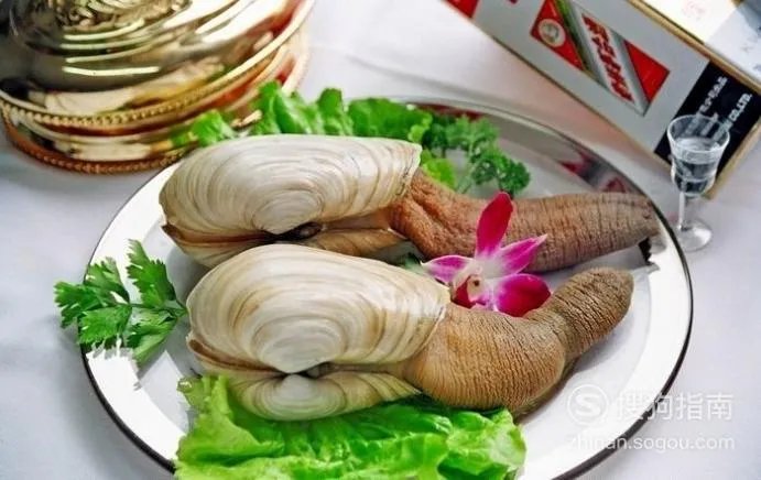 象拔蚌什么梗?