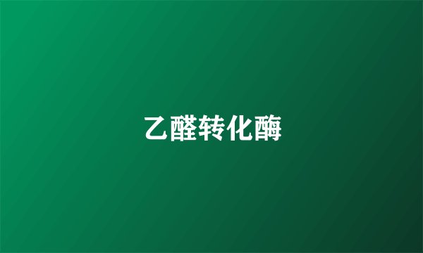 乙醛转化酶